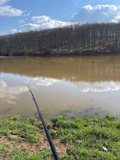 The image depicts a fishing scene at a body of water, likely a river or a lake, in Padarevo, Bulgaria. The water is murky and brown, reflecting the sky with visible clouds. A row of leafless trees lines the opposite bank. On the near bank, there is grass and soil, and a fishing rod extends into the water. No people are visible in the frame. The overall environment suggests a rural or natural setting.