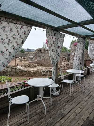 The image shows an outdoor seating area at a cafe or restaurant in Novoye, Russia. The area is covered by a green mesh canopy supported by wooden beams. White floral curtains hang between the beams, adding a decorative touch. Several white metal tables and chairs are arranged on a wooden deck. In the background, there is a rocky enclosure with a pond or water feature, where several birds, likely ducks or geese, are visible. Some greenery and flowers are planted in planters along the edge of the deck. The overall scene suggests a relaxed and somewhat rustic outdoor dining environment.