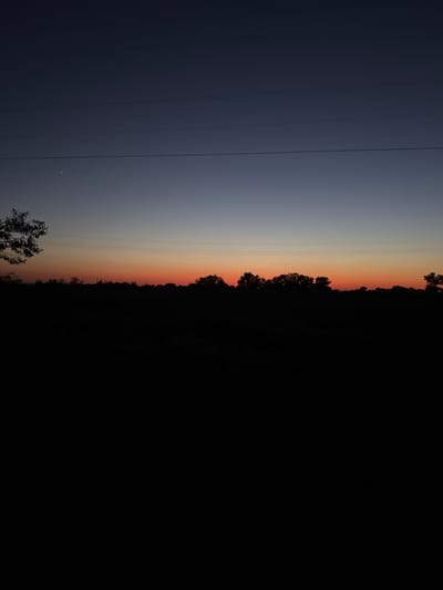 This is a landscape photograph taken vertically, likely at dusk or dawn, in Serebryakovka, Russia. The image is dominated by a gradient sky transitioning from a deep, dusky blue on the left to a warm, orange hue near the horizon, which is almost completely obscured by a silhouetted treeline. The darkness of night is beginning to consume the right side of the frame.
Several power lines stretch horizontally across the sky, appearing as thin, dark lines against the lighter background. In the upper left portion of the sky, a small, bright point of light is visible, possibly a star or a planet. In the lower left, the silhouette of a leafy tree is visible, with its branches reaching upwards. The treeline along the horizon is dense and irregular, suggesting a wooded or hilly area.
The overall mood of the image is serene and contemplative, evoking the quiet transition between day and night. The low light conditions create a sense of stillness and natural beauty. There is no visible text in the image.