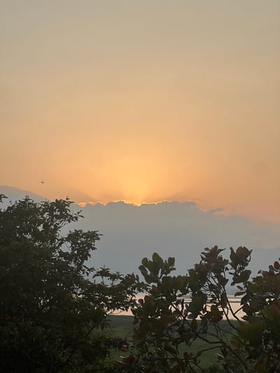 The image depicts a sunset view, likely taken near a body of water, as suggested by the reflections visible through the trees. The sky transitions from a hazy, golden-yellow on the left to a light blue on the right, with a cloud bank in between, and a sliver of sunlight piercing through the clouds. Branches and leaves of trees frame the right side of the image. There is the faint silhouette of a mountain visible on the lower left. The lack of landmarks makes it difficult to pinpoint the precise location in Santa Cruz de Yojoa, Honduras, but the presence of water and the landscape suggest it might be somewhere near the lake.