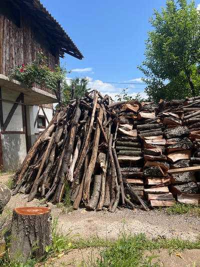 The image depicts a rural outdoor scene, oriented vertically with the sky on the left and the ground on the right. When viewed correctly (sky at top), it shows a large quantity of stacked firewood and timber.

Dominating the right side of the frame is a substantial, neatly stacked pile of cut and split logs, exhibiting various sizes and bark textures. Below and in front of this organized stack, a more informal pile of smaller branches and logs is gathered. To the far right, a gravel path runs alongside the firewood, edged by patches of green grass and weeds. A recently cut tree stump, revealing its wooden rings, occupies the lower right foreground.

The left side of the image features a bright blue sky with scattered white clouds. A lush green tree canopy extends into the upper left, providing shade. Below the tree, parts of two buildings are visible. Closer to the foreground is a rustic structure with weathered wooden plank walls and a gabled roof covered in dark tiles or shingles. A bush with vibrant red roses grows against this building. Further back, another building with lighter-colored walls and dark timber framing details, including a small window, can be seen.

The scene is bathed in bright sunlight, indicating it is daytime, likely mid-morning or afternoon, under clear weather conditions. There are no people or discernible activities taking place. The setting suggests a functional, rural environment, consistent with the provided location context of Drugan, Bulgaria. No text is visible in the image.