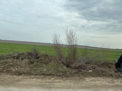 The scene depicts a rural roadside in Lepitsa, Bulgaria, observed from a moving vehicle. In the immediate foreground, a dirt and gravel shoulder occupies the bottom portion of the frame, with the dark edge of a vehicle's side mirror visible on the far right. Adjacent to the shoulder is a sloped embankment composed of loose earth and scattered debris. This embankment features a concentrated pile of dry, interwoven tree branches and sticks. Interspersed within the debris are visible fragments of litter, including a distinct blue object and several white plastic pieces. Two large, leafless shrubs with numerous thin, bare branches rise from the embankment. Beyond this roadside area, a vibrant green cultivated field extends and slopes upward to the right. Further in the background, another field, appearing darker and possibly fallow or tilled, continues the upward slope. A paved road or track runs horizontally across the upper portion of these fields. The horizon line is marked by multiple thin, dark vertical structures, consistent with utility poles or power line towers. The sky above is overcast, filled with varying shades of grey and white clouds. The overall image exhibits motion blur, particularly affecting the foreground and midground vegetation, consistent with capture from a moving platform. No human figures are present.