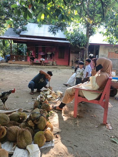 In the outdoor village setting of Meunasahuket, Indonesia, a group of people are gathered. A man in a dark t-shirt and blue jeans kneels on the sandy ground, actively cutting open durian fruit with a knife. A pile of durians, both whole and cut, lies on a white tarp in front of him. A rooster stands nearby, observing the activity. In the background, a woman wearing a light brown hijab and a cream-colored top sits on a red chair, engaged in a phone conversation. A young boy in a patterned shirt stands beside her, and another person, partially visible, is seated behind them. Further back, two young men sit on a bench in front of a pink wooden building with a corrugated metal roof. The environment is rustic, with dirt ground, scattered leaves, and tropical foliage overhead.