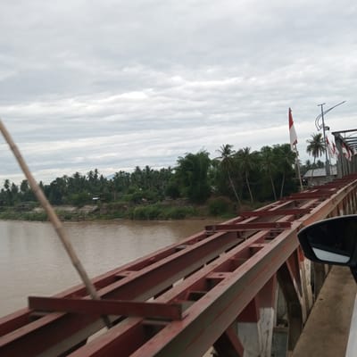 This image depicts a view from a bridge, likely in the vicinity of Blang Mee, Indonesia, overlooking a wide, brown river and a densely vegetated riverbank. The bridge structure itself, made of red-painted metal beams, dominates the foreground and midground. On the far bank of the river, a line of lush green trees, including many palm trees, stretches across the horizon, punctuated by a few small buildings. Several Indonesian flags (red and white) are visible flying from poles on the bridge to the right of the frame, suggesting a national holiday or a place of significance. The sky is overcast with diffused light. A bamboo pole extends diagonally across the left side of the image, obscuring part of the scene. The reflection in a car's side mirror is visible in the lower right corner, indicating the viewpoint is from a vehicle.