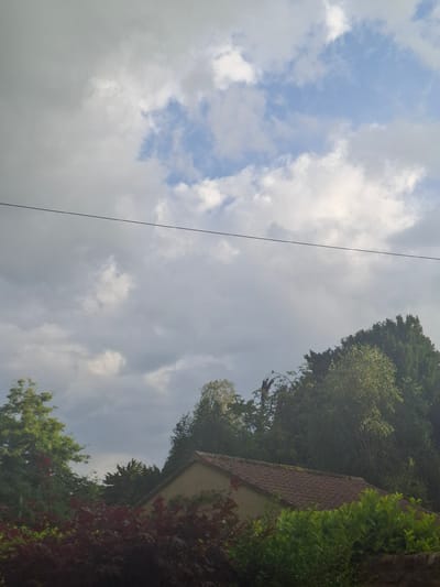 A slightly overcast sky dominates the upper portion of the image, with patches of blue visible through lighter clouds. A thin, dark electrical wire stretches horizontally across the sky from the left side of the frame towards the right. Below the sky, a dense canopy of various shades of green trees and some deep red foliage fills the middle and lower sections of the image. A portion of a house roof, covered in reddish-brown tiles, is visible in the lower right quadrant. The scene appears to be an outdoor environment, likely a residential area, given the presence of the house and garden foliage. There are no people or animals clearly visible. The overall impression is of a natural, suburban or rural setting under a dynamic sky.