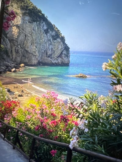 The image depicts a vibrant coastal landscape under a clear blue sky. In the foreground, a dark, segmented wooden railing curves along the lower left, partially obscured by dense flowering shrubs. These shrubs, consistent with oleander, display blossoms in shades of red, pink, and white, interspersed with lush green foliage.

The midground features a secluded beach cove with a sandy shore that transitions into clear, shallow turquoise water, gradually deepening to a darker blue ocean. Small white waves are breaking on the beach. Several dark rocks are scattered across the sand and partially submerged in the nearshore water. Two human figures are visible standing or walking in the shallow turquoise water, partially submerged. A third human figure stands on the wet sand at the water's edge. Further out in the deeper blue water, an elongated rock formation protrudes, forming a small reef.

In the background, a massive, rugged cliff face dominates the left side, exhibiting stratified rock in shades of grey, brown, and white. Green vegetation covers the top and some ledges of the cliff. The open sea extends to the right, meeting a light blue, cloudless sky at the horizon. A small, indistinct white object, possibly a boat, is present on the distant horizon line in the upper-right quadrant. The scene is brightly illuminated by daylight.

This coastal scene, featuring a sea and prominent cliffs, is inconsistent with the inland geography of Kumanovo, North Macedonia, which is located in a valley and is landlocked.