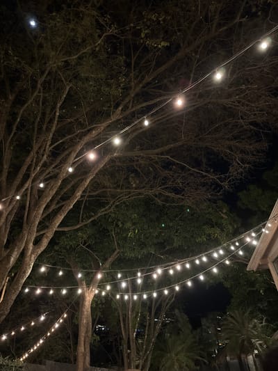 At night in Tamarindo, Costa Rica, illuminated string lights are suspended between trees. The branches of the trees are interspersed with the light strings, creating an intricate pattern. The scene has a dark backdrop, with some trees having dense foliage and others appearing bare-branched. The lighting provides a warm, ambient glow.