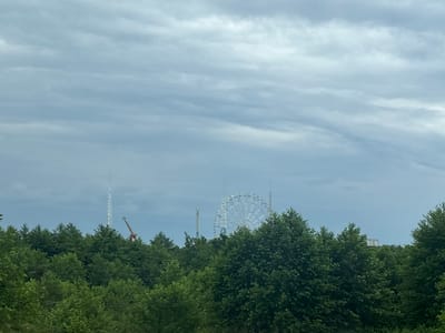 This media file shows a landscape with trees in the foreground and a Ferris wheel and towers in the background, under a cloudy sky. The trees are lush and green, suggesting it is summertime. The sky is overcast with gray clouds, indicating a potentially rainy day or the aftermath of a storm.
In the distance, a large white Ferris wheel stands prominently, suggesting the presence of an amusement park or a fairground. To the left of the Ferris wheel, a tall, slender tower, possibly a radio or communication tower, is visible. To the left of that tower, a construction crane is partially obscured by the trees. Further to the right, a low-rise building with white text on its facade is visible, though the text is too blurry to be read. The overall scene evokes a sense of anticipation or perhaps a slightly somber mood due to the cloudy weather. There are no people visible in the frame. The image appears to have been taken from an elevated position, looking out over a wooded area towards a distant skyline with man-made structures.