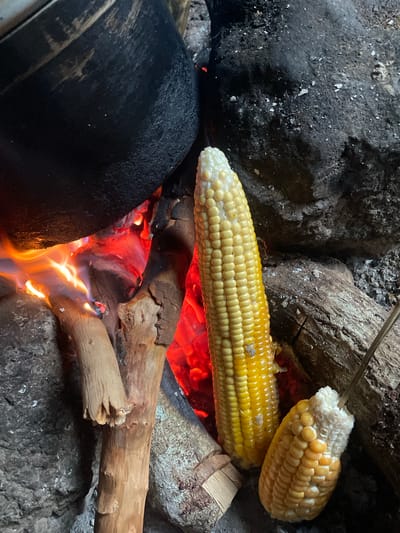 In Aiyegunle, Nigeria, two ears of corn are being roasted over an open fire. The corn is yellow and appears to be fresh. One ear of corn is fully exposed to the heat of the fire, while the other is partially obscured by a dark, pot-like object. The fire is burning brightly, with flames and glowing embers visible. Several pieces of wood and rocks surround the fire pit, forming the cooking environment. The overall scene suggests a rustic, outdoor cooking experience, possibly a meal being prepared for consumption. There is no visible text in the image. The time of day and weather conditions are not discernible from the image.