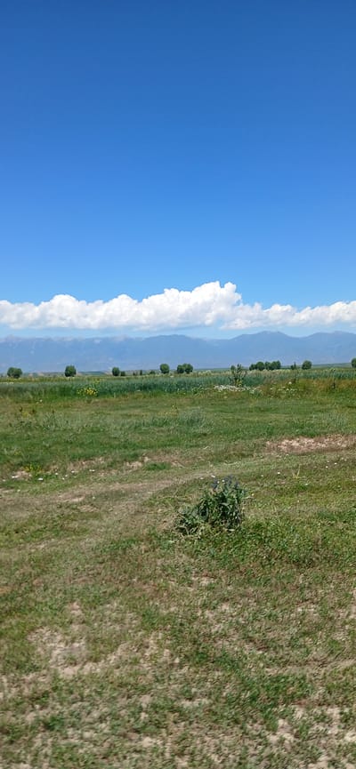 The image depicts a rural landscape under a clear blue sky with scattered white clouds. In the foreground, there is a field of grass with patches of bare earth. A small cluster of green bushes is visible in the mid-ground. Further in the distance, a line of trees stands against a backdrop of rolling hills and mountains. The scene appears to be located in Mihaylovka, Kyrgyzstan. There are no people or visible structures in the image, suggesting an undeveloped natural environment.