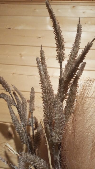 A close-up shot features a bouquet of dried ornamental grasses and other dried plant materials. The grasses are various shades of brown and beige, with feathery plumes and spiky seed heads. A light tan, feathery plume is visible on the right side of the frame. The background consists of light brown wooden planks, likely from a wall. The lighting is soft, creating subtle shadows on the wooden background. The image appears to be an indoor still life, possibly in a home in the city of Yudino, Russia.
