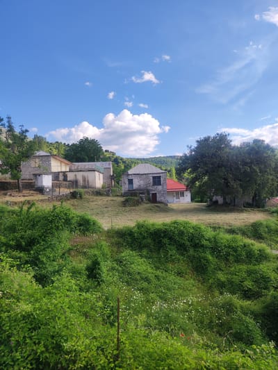 The image captures a rural scene with several stone and plaster buildings situated on a grassy slope under a bright blue sky with scattered white clouds. In the foreground, dense green foliage and a few small white and red wildflowers cover the lower part of the frame.

The buildings are of varying architectural styles. To the left, a multi-story structure with a stone base and a lighter colored upper section is visible, with a metal railing on a balcony. Adjacent to it is a long, low-lying building with a corrugated metal roof. Further to the right, a smaller stone building with a dark red door and a window with a dark frame stands next to a building with a red tiled roof and white walls. A large, mature tree with dense foliage dominates the right side of the middle ground.

The landscape is hilly, with more greenery and trees covering the slopes in the background. The ground around the buildings is covered in dry grass. The scene appears to be an outdoor setting, possibly a small village or hamlet in the Egnatia Municipal Unit, Greece, given the architecture and vegetation. There are no people or animals visible in the image. The overall impression is one of a quiet, sunlit rural environment.