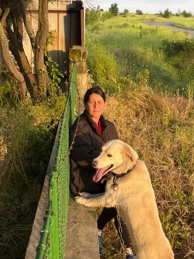 A light-skinned, mature woman, likely in her 50s, lies prone on a green-mesh-covered surface that appears to be part of a concrete structure. She is wearing a black jacket over a red garment, and a dark cap or headband. Her expression is relaxed and she is looking at the camera.

A large, light-colored dog with a long, thick coat is partially resting on the same surface, panting with its tongue extended. The dog is wearing a thick metal chain leash.

The structure is located near foliage, including tall grasses, and appears to be a border or barrier. To the left, a wooden fence and a small building are visible. The background includes a grassy field and a road or path.

Based on the image's description, the location is Valchin, Bulgaria.