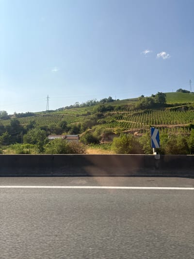 The image depicts a scenic view of a hillside covered in vineyards, situated in the city of Saint-Cyr-sur-le-Rhône, France. The foreground features a section of a highway with a white lane marker. A grey concrete barrier separates the highway from the landscape. Beyond the barrier, the hillside rises, densely populated with rows of grapevines. A small building with solar panels on its roof is visible nestled amongst the greenery. Power lines and a tall transmission tower are prominent on the upper slopes of the hill. In the sky, a few white clouds drift against a clear blue backdrop. A blue and white chevron sign, indicating a curve in the road, is positioned along the roadside. The overall scene suggests a rural or semi-rural setting characterized by agriculture and infrastructure.