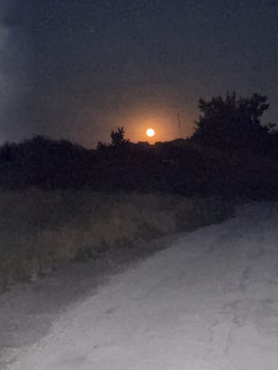 The image depicts a nighttime or twilight scene with a bright, round object, likely the moon or a distant light source, visible in the upper central portion of the frame. It is surrounded by a dark, silhouetted landscape of trees and foliage. A path or road, appearing to be unpaved and uneven, occupies the lower half of the image and slopes upwards towards the horizon. The overall atmosphere is dim and somewhat hazy, with a grainy texture throughout the photograph. There are no people or animals visible in the scene. The location is identified as Petrykivka, Ukraine.