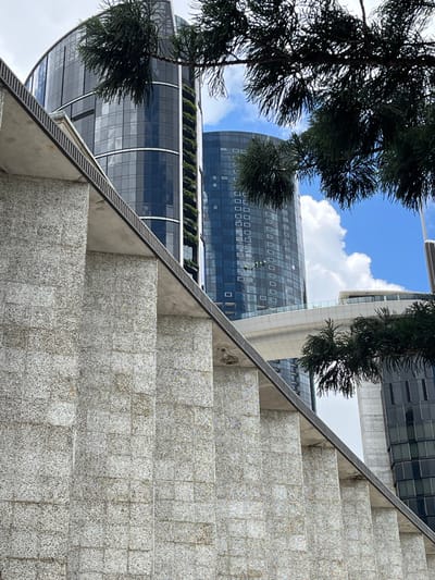 A modern urban landscape is captured in this upward-angled photograph, featuring prominent stone steps and contemporary architecture under a bright sky. The foreground is dominated by a wide set of light-colored, speckled stone steps that ascend diagonally from the bottom right towards the upper left. A dark, possibly metal, rail or trim runs along the sloped edge of these steps, creating a strong leading line.

Dark green, pine-like foliage and tree branches frame the scene from the left and top, partially obscuring the background. Beyond the steps and foliage, two large, modern buildings with extensive glass facades are visible. The building on the left features a curved, dark glass exterior with numerous reflective square windows, mirroring parts of the bright blue sky and fluffy white clouds. Below and to the right of this structure, another building also showcases dark reflective glass, topped by a section of lush green landscaping, possibly a rooftop garden or terraced plants.

The sky is a clear blue with scattered white cumulus clouds, indicating a bright daytime setting with good weather. The strong natural light creates clear distinctions between surfaces and highlights reflections on the glass buildings. The scene conveys a sense of contemporary design and urban development, characteristic of a major city like Brisbane. There is no visible text or explicit human activity in the image.