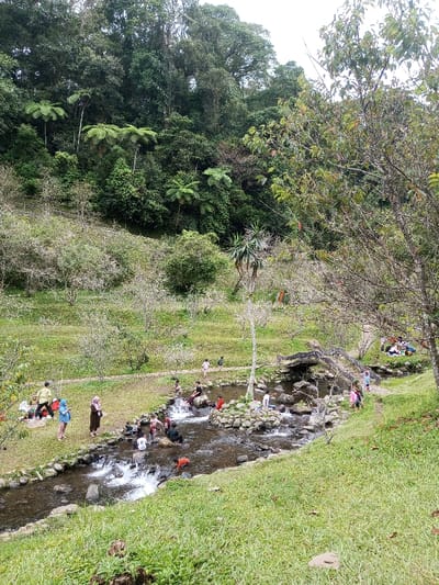A stream cuts through a lush green landscape, filled with people enjoying the water. Some are sitting on the banks, while others are wading and playing in the stream. A stone bridge spans the water. The surrounding landscape features grassy areas, trees, and a dense forest in the background, creating a natural recreational setting.