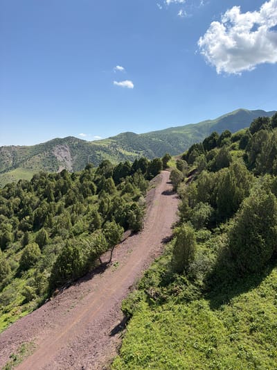 The image depicts a mountainous landscape in Kashka Suu, Kyrgyzstan, under a bright blue sky with scattered white clouds. A dirt road winds its way up a steep, tree-covered slope. The trees are predominantly evergreen, with a dense undergrowth of green vegetation. In the distance, rolling green hills and larger mountains are visible, some with rocky, barren patches. The scene is natural and undeveloped, suggesting a rural or remote area. There are no people or animals visible in the image. The lighting indicates it is daytime, likely late morning or early afternoon, given the sun's position casting shadows on the slope.