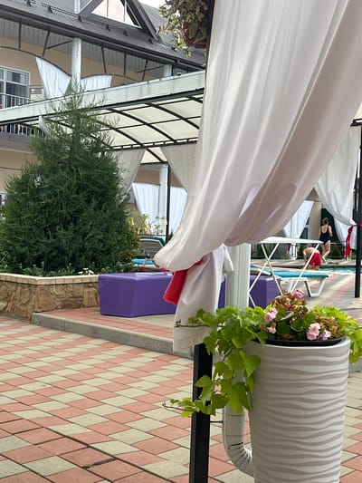 This image captures an outdoor seating area, possibly at a resort or private residence in Yaroslavskaya, Russia, characterized by a tiled patio and surrounding greenery. In the foreground, a large, textured planter holds a vibrant display of green ivy and pink flowers. Behind it, a white canopy draped with fabric provides shade. A purple rectangular bench is visible to the left. The middle ground features a lush green tree, a stone-lined planter bed, and lounge chairs near a swimming pool. In the background, a multi-story building with balconies and white drapes is partially visible. Two individuals are present near the pool: one person in a black swimsuit and another in red shorts, with the latter appearing to be entering the water. The overall scene suggests a relaxed, recreational atmosphere.