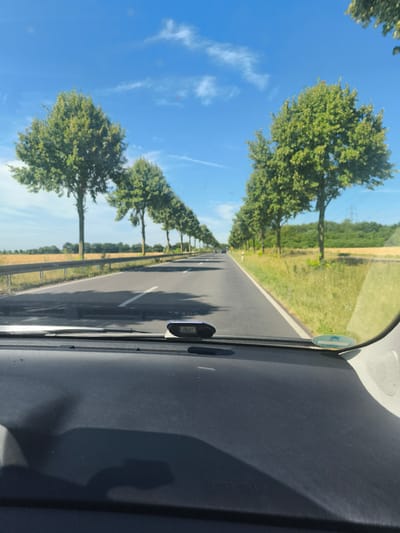 The image is taken from the interior of a car, looking forward through the windshield. The view is of a two-lane road bordered by a line of trees on either side, creating an avenue effect. The road is asphalt and appears to be in good condition, with a white line marking the lane divisions. The surrounding environment consists of green fields and trees, with a bright blue sky and scattered white clouds overhead. The sun is shining, casting shadows on the road and the dashboard. On the dashboard, a small black electronic device with a digital display is visible. The trees are lush and green, suggesting a temperate climate, likely summer. The location is identified as Niederkassel, Germany, which is a municipality in the North Rhine-Westphalia region. The overall impression is that of a scenic drive through the countryside on a clear, sunny day.
