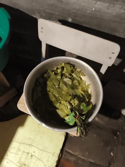 In Il'mino, Russia, an overhead shot depicts a silver metal basin filled with green leaves and branches. The basin rests on a light yellow surface. Behind it, a light gray bench-like object with two visible screws is positioned. To the left of the basin, a portion of a green plastic bucket is visible. The overall environment appears to be indoors, with a dark, textured floor.