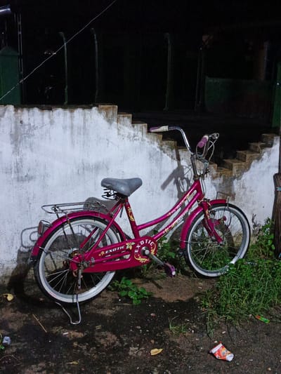 A pink children's bicycle with white tires and a silver rack is leaning against a textured, off-white wall. The bicycle has purple grips on its handlebars and a gray seat. The frame of the bicycle is decorated with floral patterns. The ground in front of the bicycle is dark and wet, with patches of green grass and some debris, including a crumpled red and white wrapper and a yellow leaf. Behind the bicycle, a set of outdoor concrete stairs leads upwards. The scene is dimly lit, suggesting it is nighttime or a very dark indoor space. This image was taken in Payacut, Indonesia.