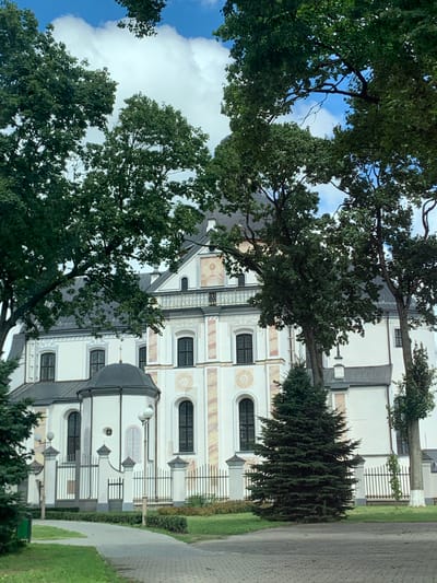 The image captures a view of the Niasvizh Castle complex in Niasvizh, Belarus, under a partially cloudy blue sky. The foreground features a paved walkway and a well-maintained green lawn. On the right side of the walkway, a tall, dense evergreen tree stands prominently. Behind it, a white fence with black vertical bars encloses the castle grounds. The castle itself is a grand white structure with a dark roof, featuring several arched windows and decorative elements along its facade. A small dark dome with a cross tops a section of the building on the left. Lush green trees frame the scene, with their branches and leaves creating a natural canopy. The overall impression is one of a historic and well-preserved architectural site surrounded by abundant nature.