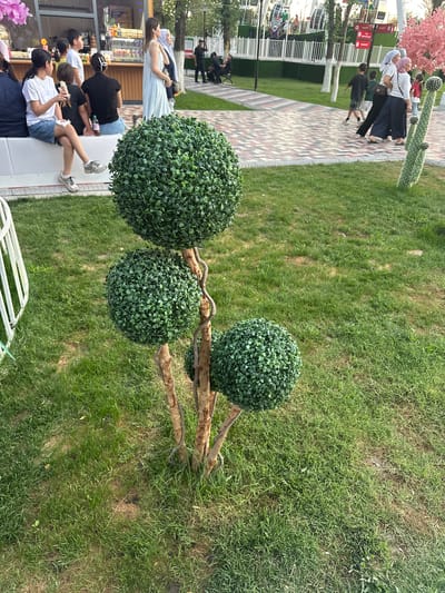 The image depicts an outdoor scene with several people and decorative elements, likely in a public space or park. The main subjects are several individuals, some of whom are walking, while others are seated. One group is near a food stall or kiosk, with some people seated on a bench and others standing. Another group is walking on a patterned pathway. A prominent artificial topiary, resembling a tree with three round green spheres, stands in the foreground. In the background, there's a decorative cactus-like structure with pink flowers and more people in the distance.
The setting appears to be a park or outdoor recreational area, indicated by the presence of grass, trees, pathways, and decorative elements. The time of day seems to be daytime, possibly late afternoon or early evening, given the lighting. The weather appears to be pleasant, as people are dressed in casual summer attire. The overall mood seems relaxed and casual, with people enjoying their time outdoors.
There are no discernible emotions conveyed by the people in the image. The location context provided is Manas, Kyrgyzstan, which might suggest the architectural style or the types of plants could be indicative of the region, although the dominant features are the artificial decorations.
Visible text is limited, with some signage on the food stall or kiosk in the background, but it is not legible enough to be read. The artificial plants and decorations suggest a curated outdoor space designed for aesthetics and public enjoyment.