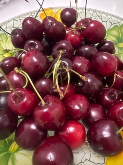 A close-up, overhead shot features a shallow bowl filled with ripe, dark red cherries. The cherries are clustered together, some with visible stems, and their glossy surfaces reflect the light. The bowl itself has a decorative pattern, with hints of green and yellow floral designs visible around the edges. The background is out of focus, suggesting a shallow depth of field. The scene appears to be indoors, on a flat surface. The image does not contain any identifiable landmarks or clues to specify a location within Novy, Russia.