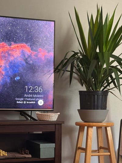 The image shows a section of an interior scene. A green plant in a gray and black pot is resting on a light wooden stand, which is mounted on a light-colored wall. Below the plant is a TV screen displaying a digital clock that reads 12:36. The screen's background is an image of a nebula. To the right of the TV screen is a dark wooden cabinet or shelf, partially visible, with a woven basket hanging from it. There is no specific indication of Morton Grove, United States of America, visible in the scene. The image focuses on domestic objects and displays no people or actions.