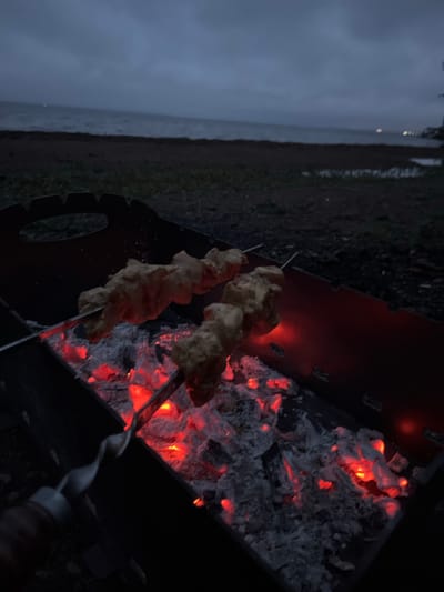 In the city of Kostovaty, Russia, at dusk, the scene depicts two skewers of raw chicken being cooked over glowing red coals in a portable grill. The grill is positioned on dark ground, likely dirt or gravel, with some sparse vegetation visible. Beyond the grill, a body of water, possibly a lake or sea, stretches to the horizon under a cloudy, dark sky. The water is choppy, suggesting a breeze or rough conditions. In the distance, faint lights are visible, indicating a shoreline or settlement. The overall atmosphere is dimly lit, indicating the transition from daylight to night.
