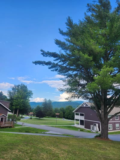 The image depicts a serene landscape in the Town of Hoosick, United States of America, featuring a residential area nestled amongst rolling hills and a lush forest under a clear blue sky with scattered clouds. Dominating the foreground on the right is a large, mature pine tree with its branches extending upwards and to the left, partially obscuring the sky. To the right of the tree, a two-story building with a dark brown exterior and white trim is visible. The building has multiple windows and balconies.
In the middle ground, a paved road winds through a manicured green lawn. Several other buildings, similar in architectural style to the one in the foreground, are scattered throughout the landscape, some appearing to be townhouses or condominiums. Trees of various sizes and types are interspersed across the property, contributing to the natural beauty of the setting. Further in the background, a range of mountains, covered in dense foliage, forms a picturesque backdrop, their peaks softened by distance and the atmospheric haze. The overall impression is one of peaceful rural living, with a strong connection to nature. No people are visible in the image.