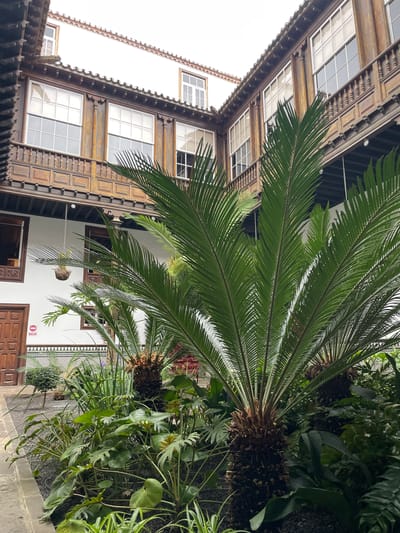 The image shows an upward view of a courtyard in La Cuesta, Spain. A multi-story building with white walls, dark wood trim, and windows fills the left side of the frame. A large palm tree with vibrant green fronds dominates the center, partly obscuring the building. To the right of the palm tree, an interior courtyard featuring a white wall adorned with geometric decorations. Brown doors and potted plants complete the composition. The ground appears to be paved with dark stones.