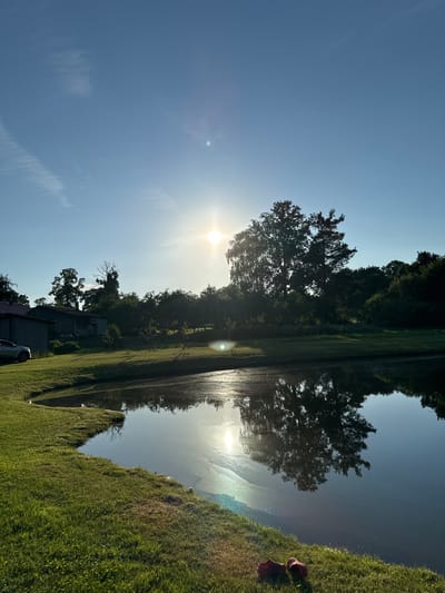The image depicts a serene natural scene on a clear, sunny day. The foreground is dominated by a grassy bank sloping down to a calm body of water, possibly a pond or lake, which reflects the surrounding trees and the bright sun. A pair of red shoes are visible on the grass in the lower right corner. In the background, a line of trees and foliage stretches across the horizon, with a few buildings, appearing to be barns or sheds, situated to the left. A silver car is parked on the grass near one of the buildings. The sun is prominently positioned in the upper center of the frame, casting a bright glare and creating lens flares. The sky is a vibrant blue with wispy white clouds. The overall impression is one of rural tranquility. This scene is consistent with the natural landscapes found in and around Rezekne, Latvia, particularly in areas featuring agricultural land and bodies of water.