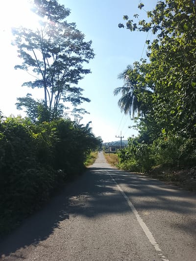 The image depicts a sunlit, paved road in Pohroh, Indonesia, likely a rural or semi-rural area given the lush vegetation. The road is bordered on both sides by dense green foliage, with tall trees casting shadows across the asphalt. The sun is bright, with visible lens flare coming from the upper left quadrant, suggesting it's midday. In the distance, the road leads towards a cluster of buildings, one of which appears to be a house with a tiled roof. Utility poles and power lines are visible along the side of the road. The scene is quiet and appears undisturbed, with no people or vehicles prominently featured, though a distant motorcycle rider is barely discernible on the left side of the road. The environment is natural and verdant, with a clear blue sky overhead.