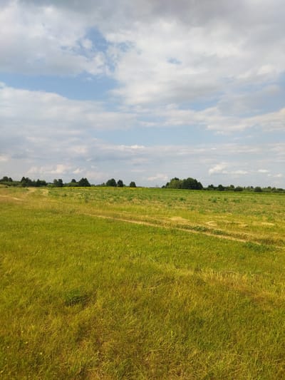 The image depicts a wide, open field of green grass under a cloudy sky. The field is predominantly green with patches of yellowing grass, suggesting either dry areas or mowed sections. Two visible dirt tracks or paths traverse the field, one running diagonally from the lower left towards the center and another in the middle ground curving to the right. In the background, a line of trees forms a distant treeline along the horizon. The sky is a mix of blue patches and white and gray clouds. There are no people or animals visible in the scene. The location is identified as a rural area within the Кіраўскі сельскі Савет, Belarus, characterized by its expansive agricultural landscape.