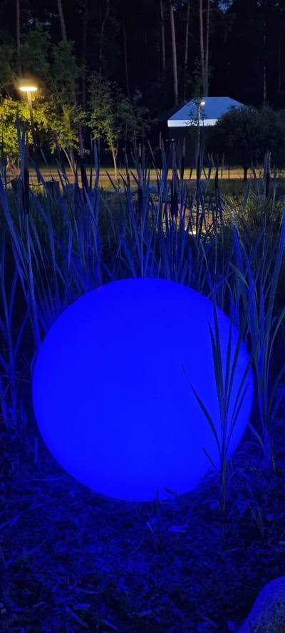 In Barvikha, Russia, a large, luminous blue sphere is situated amidst tall, dark green reeds and cattails, glowing vibrantly in the nighttime. The sphere appears to be an artificial light source, casting a deep blue hue on its surroundings. In the background, a street lamp with a warm yellow light illuminates a line of trees, and a modern building with a dark roof and white trim is visible. The ground is covered in a mixture of soil and fallen leaves, also bathed in the surreal blue light. The scene suggests a tranquil, possibly landscaped, outdoor area.