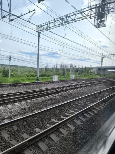 An outdoor, daytime, eye-level shot captures a view of multiple train tracks from within a moving train. The tracks, filled with ballast, extend into the distance, converging slightly. The surrounding environment is characterized by lush green vegetation, including trees and grass, indicating a rural or suburban setting. Overhead, a complex network of electrical wires and support structures for the railway system is visible against a partly cloudy sky. In the background, a concrete overpass crosses the tracks, and various rectangular white utility boxes are placed along the side of the railway. The reflection of the train's interior can be seen in the lower right portion of the image. The scene is devoid of any people.