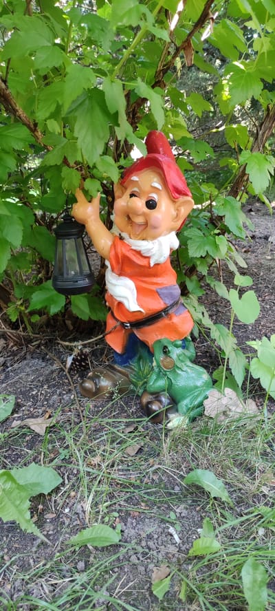A garden gnome figurine is positioned outdoors, amidst foliage and on the ground. The gnome is depicted with a red hat, orange tunic, white scarf, and brown boots. It holds a black lantern in its right hand and stands next to a green frog figurine. The setting appears to be a garden in Rosinka, Russia, with green leaves and branches of a bush surrounding the gnome, and the ground covered with soil, grass, and fallen leaves.