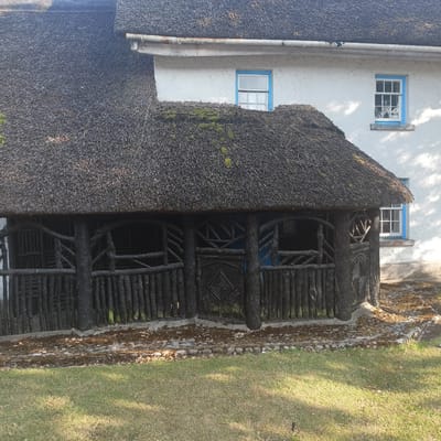 The image shows a rustic, thatched-roof structure attached to a white, two-story building. The thatched structure appears to be an open-sided porch or veranda with a dark, log-like railing and a decorative wooden panel in the center. The main building has white stucco walls and several windows with blue trim. The ground in front of the structure is covered with grass and loose debris, suggesting an outdoor setting. The overall impression is one of an older, traditional dwelling, possibly a historic site or rural residence. The Municipal District of Adare—Rathkeale is known for its thatched cottages and historic charm, which aligns with the visual elements in the photograph.
