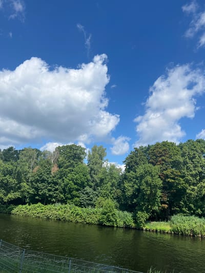 This media file depicts a natural scene of a riverbank lined with lush green trees and vegetation under a bright blue sky dotted with white, fluffy clouds. The image is oriented vertically, with the sky occupying the left two-thirds of the frame and the river and its vegetated bank filling the right third.
The trees are dense and varied, with different shades of green indicating a variety of species and perhaps some variation in foliage health, as a few patches of brown are visible. The river's surface is dark green and reflects the surrounding foliage and sky, with subtle ripples indicating gentle movement. Along the edge of the water, a line of thick green plants, possibly reeds or tall grasses, forms a natural border. A metal fence with a diamond mesh pattern is visible on the far right edge of the frame, suggesting a boundary or a park area.
The scene appears to be set in a park or natural reserve, given the manicured appearance of the riverbank and the presence of the fence. The bright sky and scattered clouds suggest it is a pleasant, sunny day, likely during the daytime. There is no activity or people visible in the image. The overall mood is serene and tranquil, highlighting the beauty of nature. No text is visible in the media file. The location context is Teltow, Germany.
