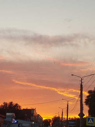 This is a vertical, full shot of a sky at sunset, with a street and some buildings visible on the right side. The sky is filled with dramatic clouds, tinted in shades of orange, yellow, and pink, with areas of lighter, soft pink and white clouds. Several small, dark shapes resembling birds are scattered across the sky.
On the right side of the image, a street is lined with trees and utility poles with overhead wires. Several streetlights are visible on the poles. Beyond the street, there are buildings, some appearing to be commercial or industrial with windows and signs. One building has a blue sign with white symbols, possibly a directional or informational sign. There's also a blue light on a structure on the far right. The light from the sunset casts a warm glow over the scene. The overall mood is peaceful and serene, characteristic of a beautiful sunset. The time of day is clearly sunset. There is no discernible text in the image.