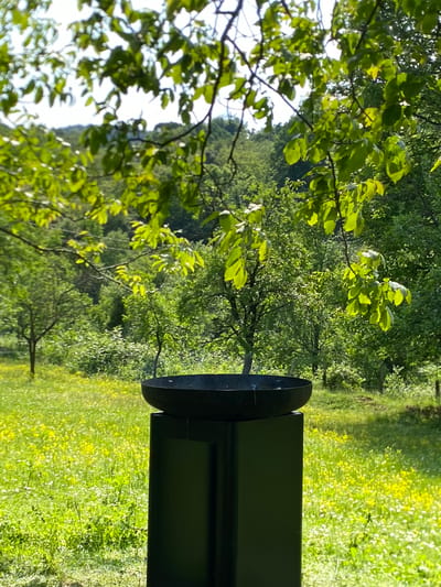 The image depicts a landscape in Gornje Leskovice, Serbia. The foreground contains a dark, metal cylindrical object, possibly a trash receptacle or a component of a public amenity. Beyond the object, there is a grassy field speckled with yellow wildflowers. The middle ground is filled with lush green trees and vegetation. The background includes more trees, creating a sense of depth in the landscape. The scene is illuminated by sunlight, with highlights on the leaves and grass.