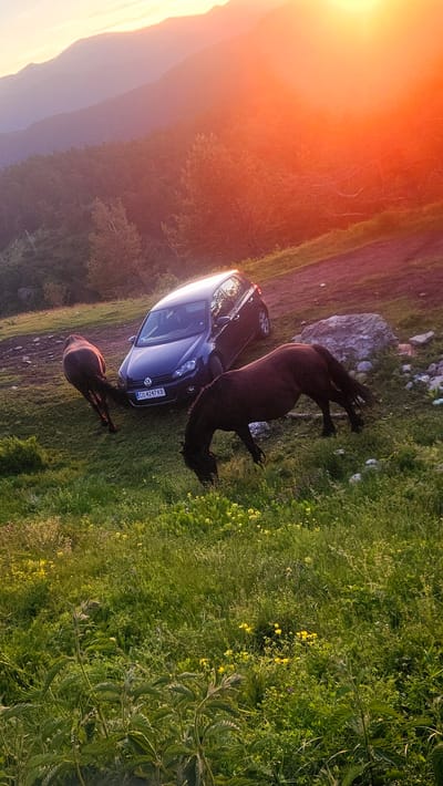 At sunset in Simeonovets, Bulgaria, two dark brown horses graze in a grassy field. One horse is positioned on the left side of the frame, facing away from the camera. The second horse is in the foreground, facing towards the right and grazing. A dark-colored Volkswagen Golf is parked on a dirt path behind the horses. The car has its headlights on. The background features a forested hillside and mountains, with the sky illuminated by a vibrant orange and yellow sunset. The scene is illuminated by the warm glow of the setting sun.