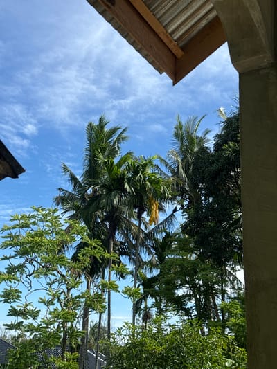 The image depicts a lush, green tropical environment with various trees, including tall palm trees with feathery fronds, against a bright blue sky with wispy white clouds. The foreground is partially obscured by a building structure, with a corrugated metal roof and a concrete pillar visible, suggesting an outdoor covered area. The vegetation is dense, with smaller trees and bushes contributing to the verdant landscape. The scene appears to be an exterior view, likely from a residential or natural setting. The presence of palm trees and the vibrant greenery suggest a location in a warm, humid climate. While the image does not explicitly show people or specific actions, the overall impression is one of tranquility and natural beauty. The detailed description of the location as Babahjurong, Indonesia, places the scene within a specific geographical context known for its tropical climate and abundant vegetation.