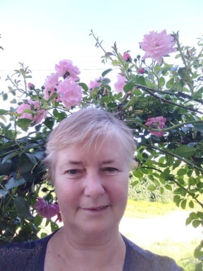 The image is a selfie taken outdoors, in what appears to be a residential garden in Novoselivka, Ukraine. The foreground features the upper torso and face of a middle-aged woman with short, light-colored hair. She is looking directly at the camera and has a slight smile. She is wearing a dark-colored, textured top.

Behind her, a rose bush with numerous pink flowers and green leaves creates a natural backdrop. Some of the roses are in full bloom, while others are buds. The branches of the rose bush are intertwined and appear to be trained over some sort of structure, possibly an arch or pergola, though this is not fully visible.

The background shows a bright, slightly hazy sky, with faint power lines visible. Further in the distance, the scene transitions to a sunlit, overgrown green area, possibly a field or lawn, with trees and foliage. The overall impression is one of a serene, natural outdoor setting.