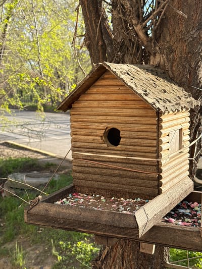A birdhouse is affixed to a tree in what appears to be a park or wooded area. The birdhouse is made of light-colored wood, with a round hole on the front. The roof is textured. The image is taken at an angle, with the tree and birdhouse appearing to be rotated. In the background, there is a road and some green foliage. There is no evidence of a specific location such as Aksay, Kazakhstan, in the image.