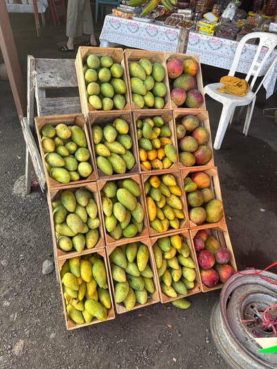 The image captures a fruit stand located in Puente Nacional, Mexico. Multiple wooden crates are arranged on the ground, filled with mangoes in varying stages of ripeness, some green and others showing red and yellow hues. A white plastic chair sits to the left, with a yellow cloth draped over it. A table covered with a patterned tablecloth displays an array of packaged goods and bananas. A partially visible person wearing sandals stands beside the table. In the upper right, a tire or wheel leans against the crates of mangoes. The ground is concrete or asphalt, with loose stones scattered around the base of the fruit display.