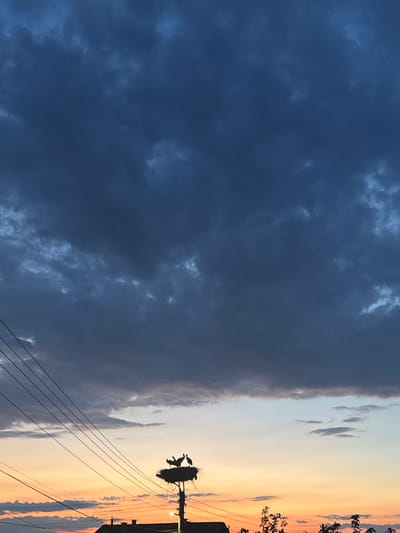 The image depicts a dusk scene in Miriantsi, Bulgaria. The sky is filled with dramatic, dark blue clouds overhead, transitioning to lighter blue and then to hues of orange and yellow near the horizon, indicating sunset. In the mid-ground, silhouetted against the colorful sky, is a stork's nest perched atop a utility pole. Several storks are visible within the nest. Several power lines crisscross the frame from the left, also silhouetted against the sky. In the lower part of the image, the dark outlines of rooftops and trees are visible, suggesting a residential area. The overall impression is one of natural beauty at the end of the day, with human infrastructure present.