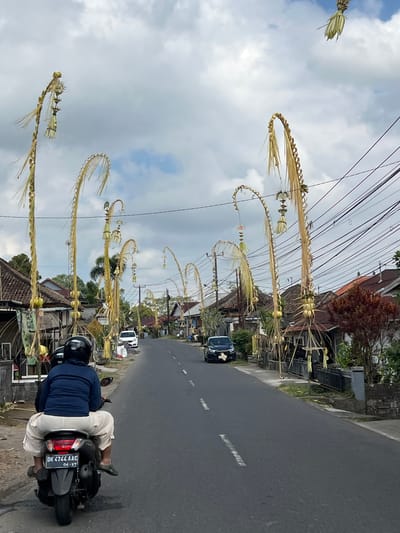 In the city of Pupuan, Indonesia, a street is adorned with tall, decorative palm leaf structures, known as "penjor," which are characteristic of Balinese culture and often displayed during holidays and ceremonies. These "penjor" are positioned along the sides of the road, with some arching over the street. The street itself is paved and appears to be a moderately trafficked road, with at least one car and a scooter visible. The houses lining the street have traditional tiled roofs and are set back from the road. Overhead, a network of electrical wires crisscrosses the sky, and the weather appears to be overcast with scattered clouds. In the foreground, a person is riding a scooter, facing away from the camera, wearing a blue jacket and light-colored pants. The license plate of the scooter is visible and reads "DK 4744 AAC". The overall scene depicts a streetscape with cultural decorations, residential buildings, and everyday transportation in a tropical setting.